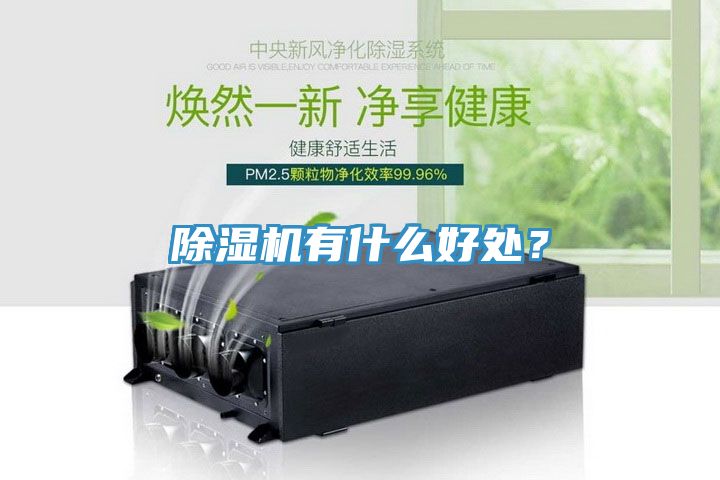 除濕機(jī)有什么好處?