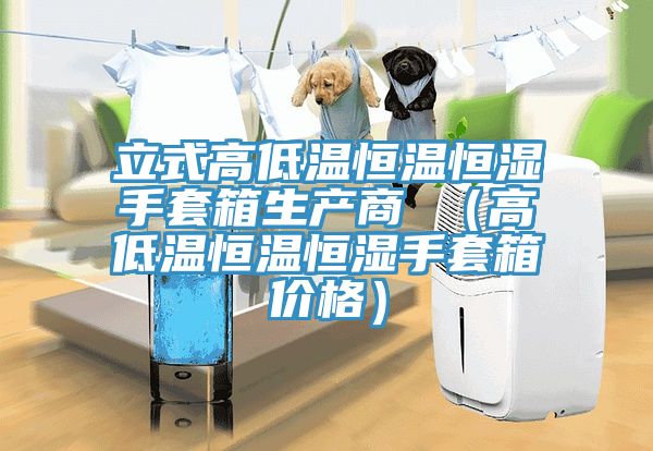 立式高低溫恒溫恒濕手套箱生產商 (高低溫恒溫恒濕手套箱價格)