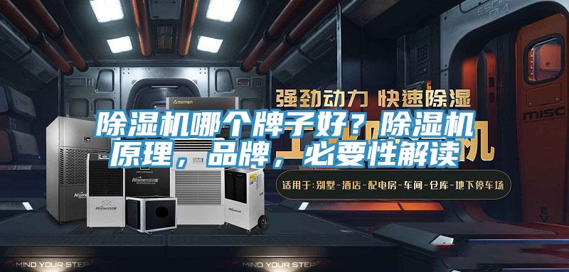 除濕機哪個牌子好？除濕機原理，品牌，必要性解讀