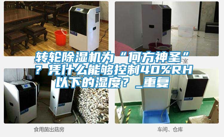 轉輪除濕機為“何方神圣”？憑什么能夠控制40%RH以下的濕度？_重復