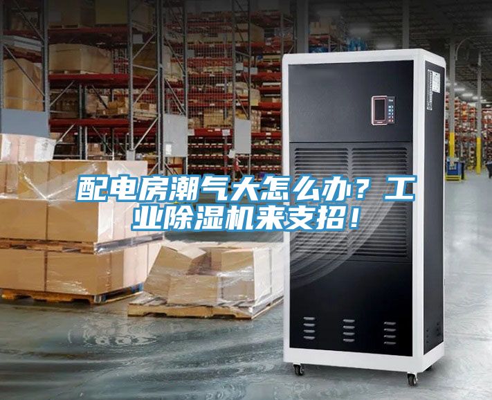 配電房潮氣大怎么辦?工業(yè)除濕機(jī)來支招!