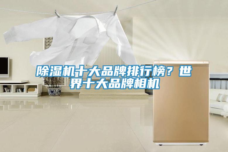 除濕機十大品牌排行榜?世界十大品牌相機
