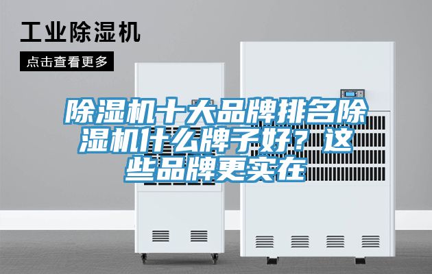 除濕機十大品牌排名除濕機什么牌子好？這些品牌更實在