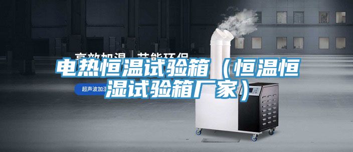 電熱恒溫試驗(yàn)箱(恒溫恒濕試驗(yàn)箱廠家)