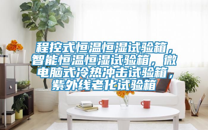 程控式恒溫恒濕試驗箱，智能恒溫恒濕試驗箱，微電腦式冷熱沖擊試驗箱，紫外線老化試驗箱