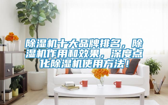 除濕機十大品牌排名，除濕機作用和效果，深度點化除濕機使用方法！