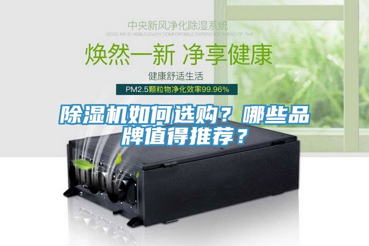 除濕機如何選購？哪些品牌值得推薦？