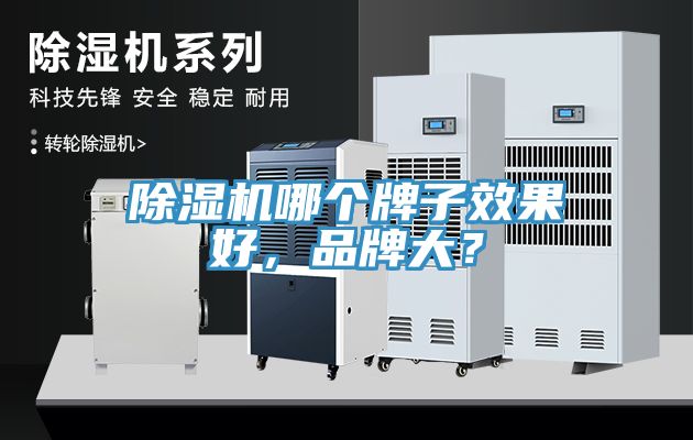 除濕機哪個牌子效果好，品牌大？
