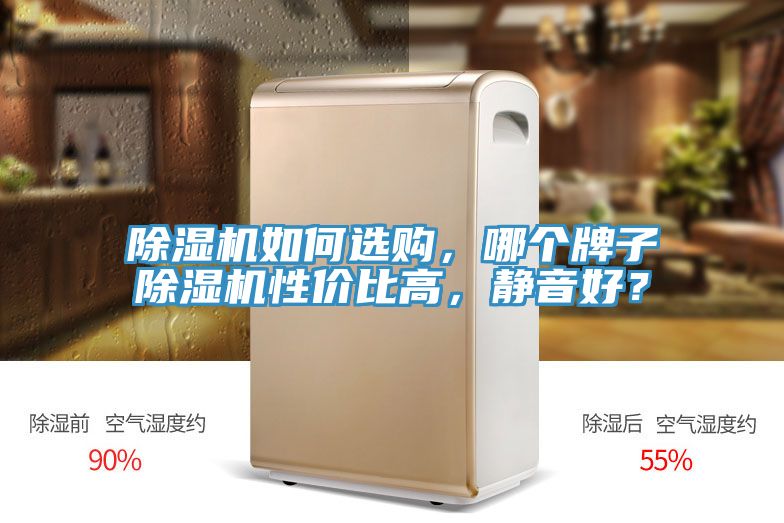 除濕機如何選購,哪個牌子除濕機性價比高,靜音好?