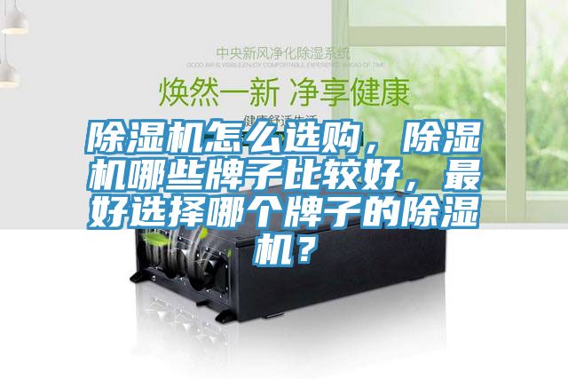 除濕機(jī)怎么選購(gòu)，除濕機(jī)哪些牌子比較好，最好選擇哪個(gè)牌子的除濕機(jī)？