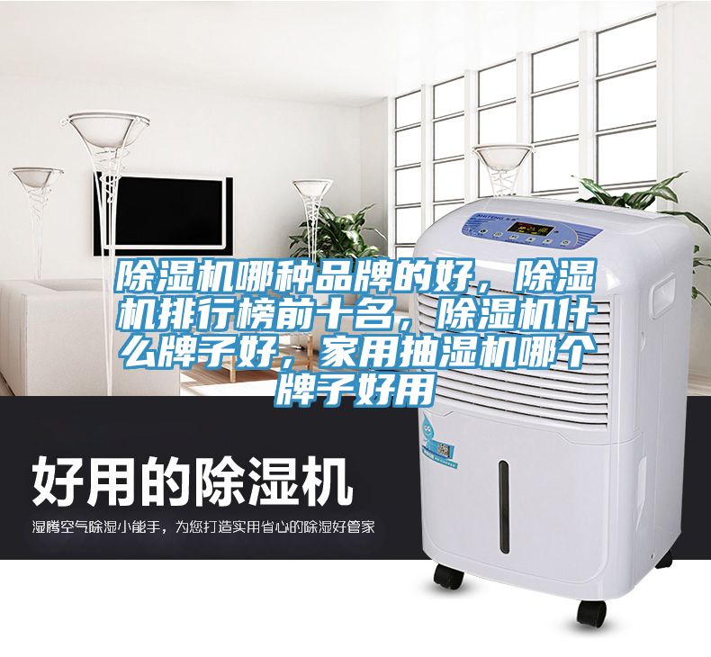 除濕機哪種品牌的好，除濕機排行榜前十名，除濕機什么牌子好，家用抽濕機哪個牌子好用