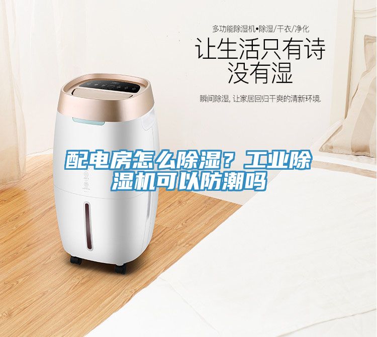 配電房怎么除濕?工業(yè)除濕機(jī)可以防潮嗎