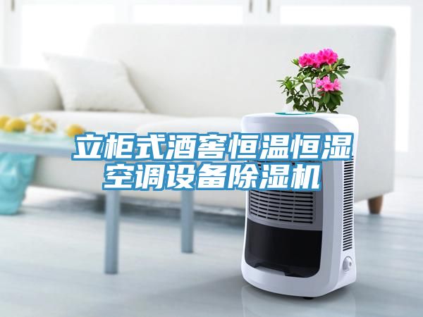 立柜式酒窖恒溫恒濕空調設備除濕機