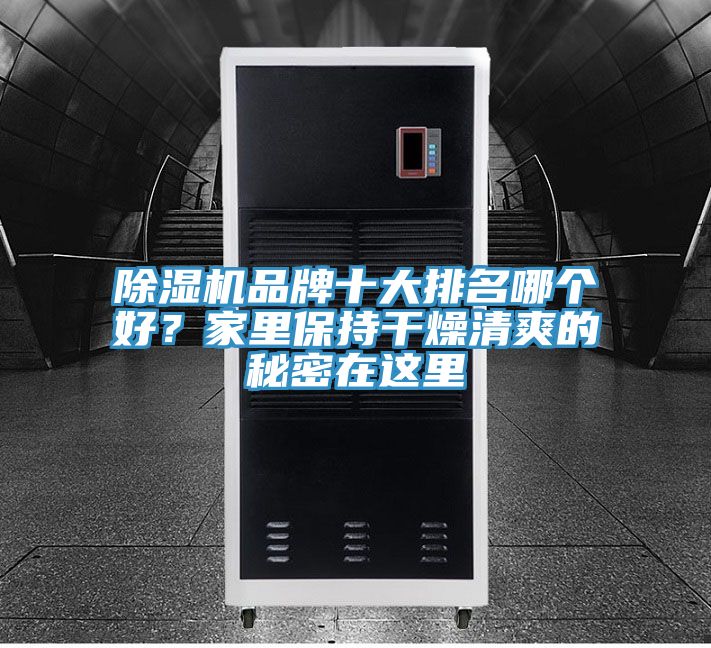 除濕機品牌十大排名哪個好？家里保持干燥清爽的秘密在這里