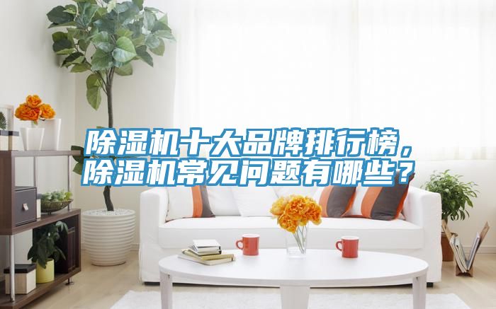 除濕機十大品牌排行榜,除濕機常見問題有哪些?