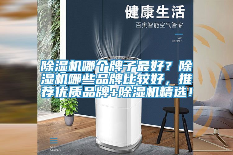 除濕機哪個牌子最好？除濕機哪些品牌比較好，推薦優質品牌+除濕機精選！