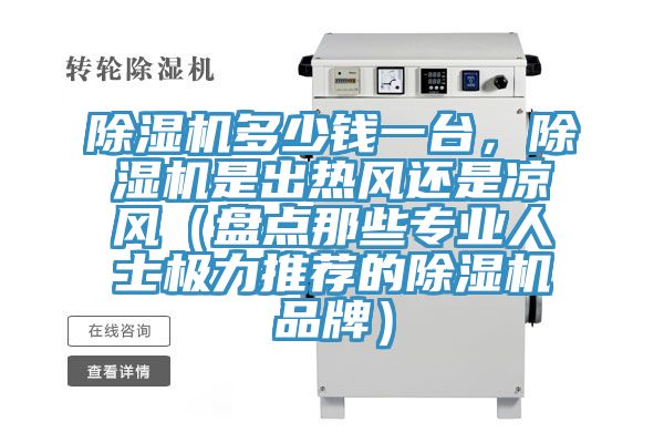 除濕機多少錢一臺，除濕機是出熱風還是涼風（盤點那些專業人士極力推薦的除濕機品牌）