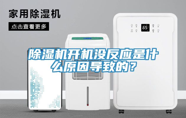 除濕機(jī)開(kāi)機(jī)沒(méi)反應(yīng)是什么原因?qū)е碌模?></div>
								<div   id=