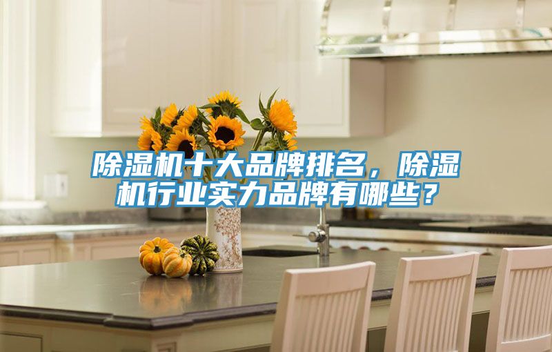除濕機十大品牌排名，除濕機行業實力品牌有哪些？