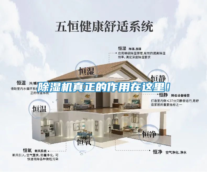 除濕機(jī)真正的作用在這里!