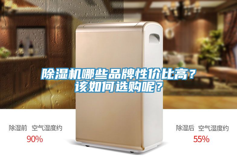 除濕機哪些品牌性價比高？該如何選購呢？