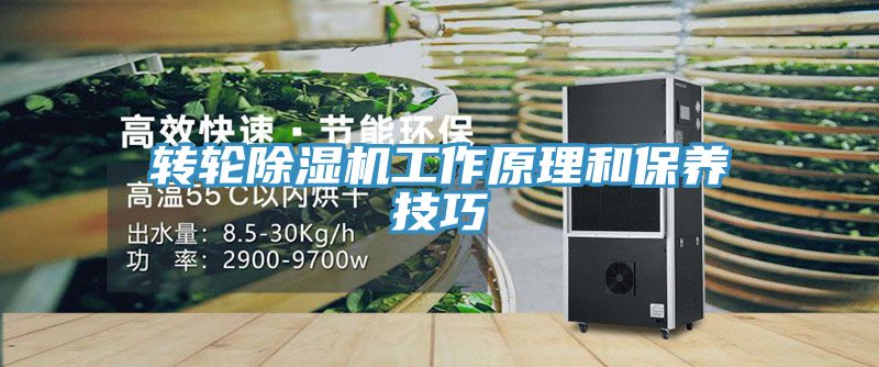 轉輪除濕機工作原理和保養(yǎng)技巧
