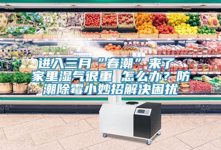 進入三月“春潮”來了 家里濕氣很重 怎么辦?防潮除霉小妙招解決困擾
