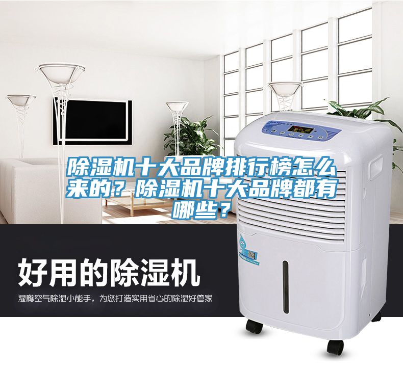 除濕機十大品牌排行榜怎么來的？除濕機十大品牌都有哪些？