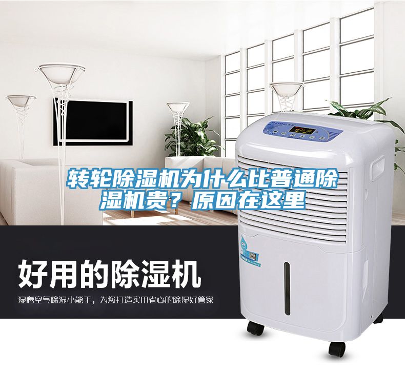 轉輪除濕機為什么比普通除濕機貴？原因在這里
