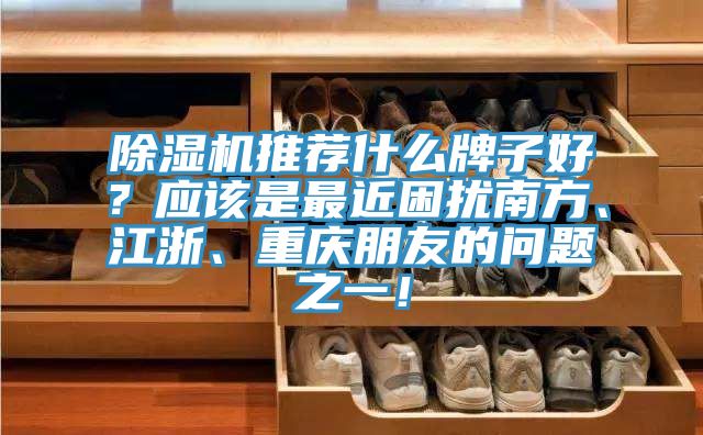 除濕機推薦什么牌子好？應該是最近困擾南方、江浙、重慶朋友的問題之一！
