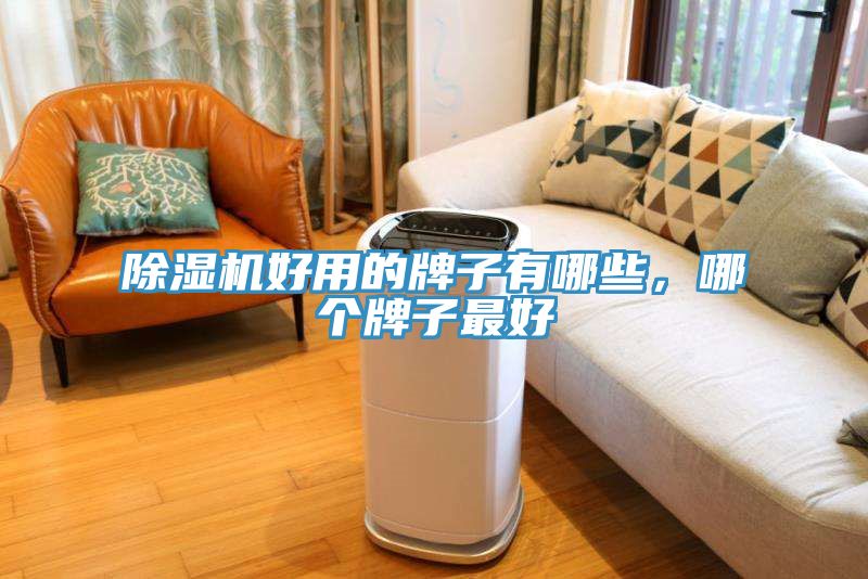 除濕機好用的牌子有哪些,哪個牌子最好