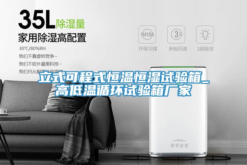 立式可程式恒溫恒濕試驗(yàn)箱_高低溫循環(huán)試驗(yàn)箱廠(chǎng)家