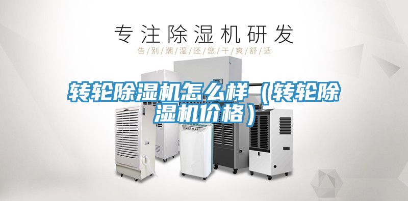 轉輪除濕機怎么樣(轉輪除濕機價格)