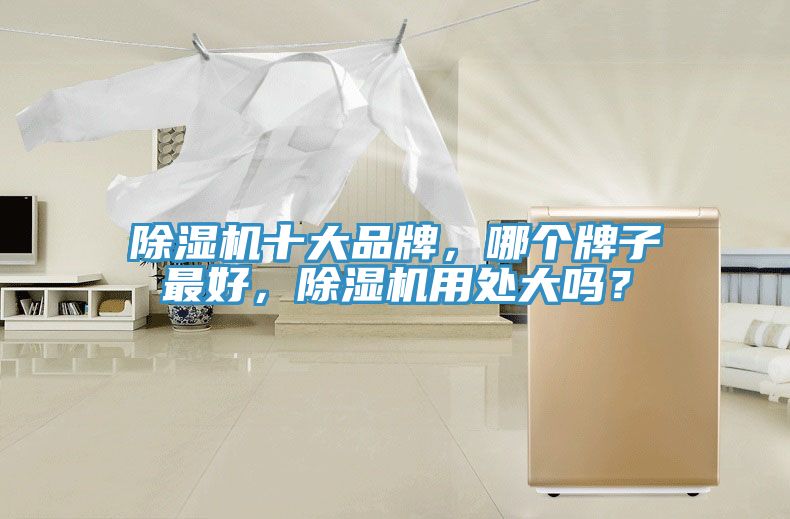 除濕機十大品牌,哪個牌子最好,除濕機用處大嗎?