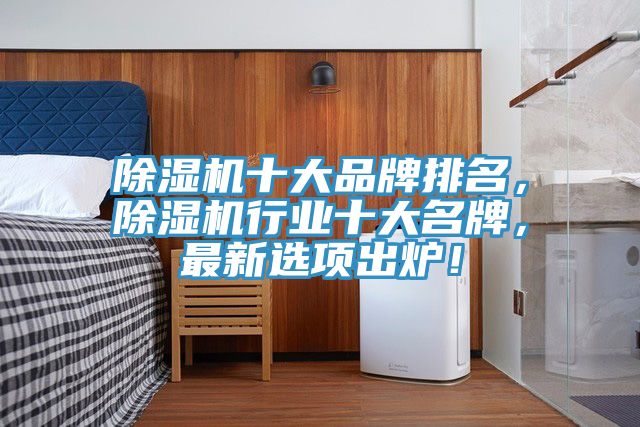 除濕機十大品牌排名，除濕機行業十大名牌，最新選項出爐！
