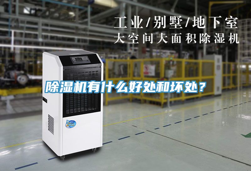 除濕機(jī)有什么好處和壞處?
