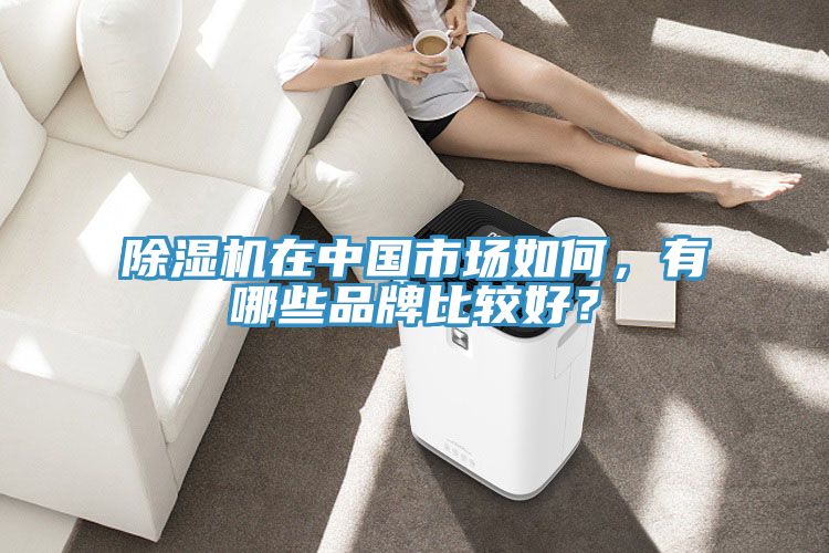 除濕機在中國市場如何，有哪些品牌比較好？