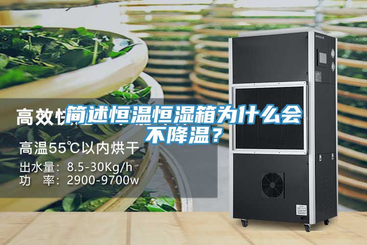 簡述恒溫恒濕箱為什么會不降溫?