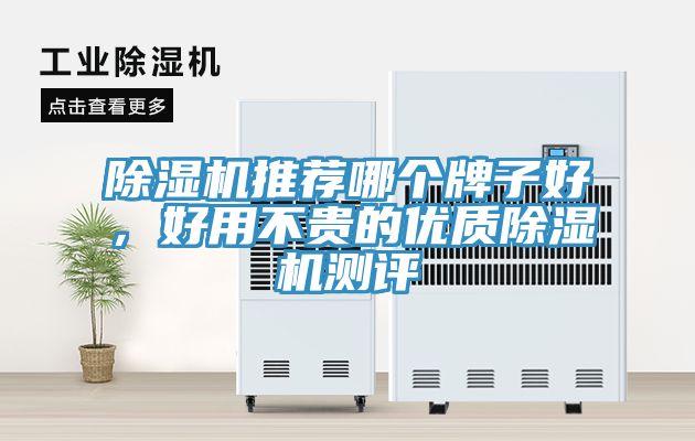除濕機推薦哪個牌子好，好用不貴的優(yōu)質除濕機測評