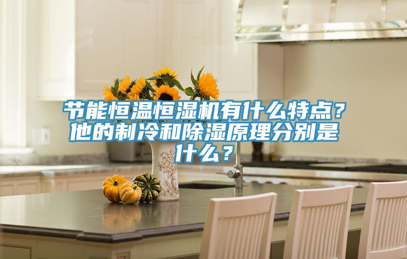 節能恒溫恒濕機有什么特點？他的制冷和除濕原理分別是什么？