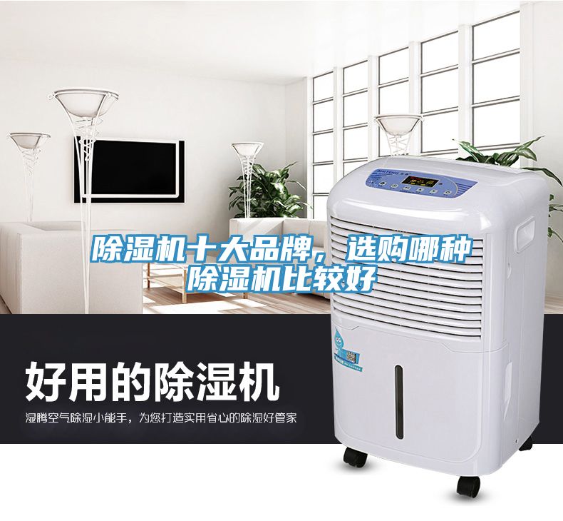 除濕機十大品牌,選購哪種除濕機比較好