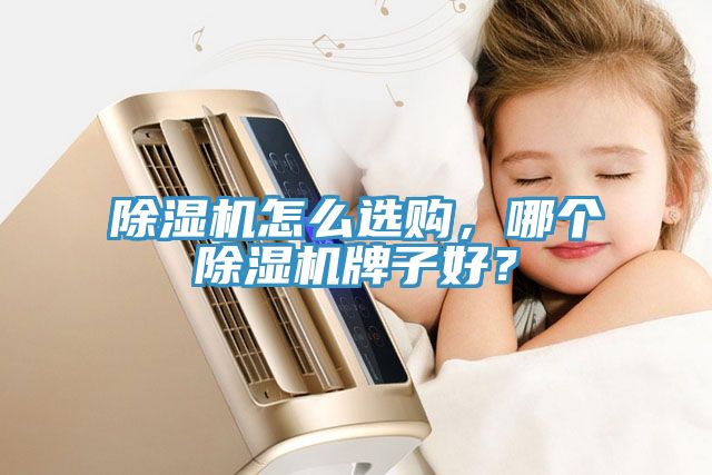 除濕機(jī)怎么選購(gòu)，哪個(gè)除濕機(jī)牌子好？