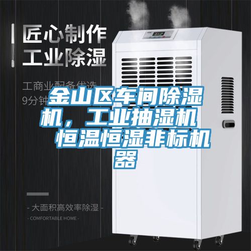 金山區(qū)車間除濕機,工業(yè)抽濕機 恒溫恒濕非標機器
