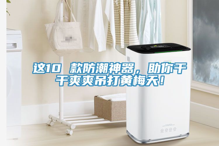 這10 款防潮神器,助你干干爽爽吊打黃梅天!