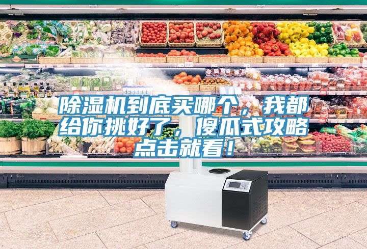 除濕機到底買哪個，我都給你挑好了，傻瓜式攻略點擊就看！