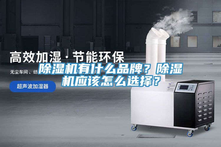除濕機(jī)有什么品牌？除濕機(jī)應(yīng)該怎么選擇？
