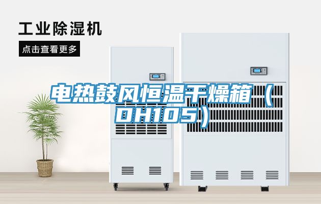 電熱鼓風(fēng)恒溫干燥箱(DH105)