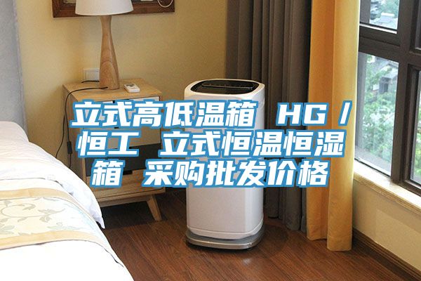 立式高低溫箱 HG/恒工 立式恒溫恒濕箱 采購批發價格