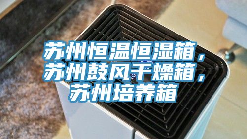 蘇州恒溫恒濕箱，蘇州鼓風(fēng)干燥箱，蘇州培養(yǎng)箱