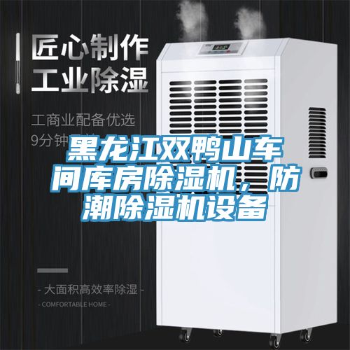 黑龍江雙鴨山車間庫房除濕機,防潮除濕機設備